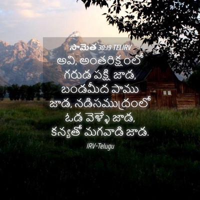 Picture 04 - సామెత 30:19 TELIRV - అవి, అంతరిక్షంలో - Bible Verse Picture