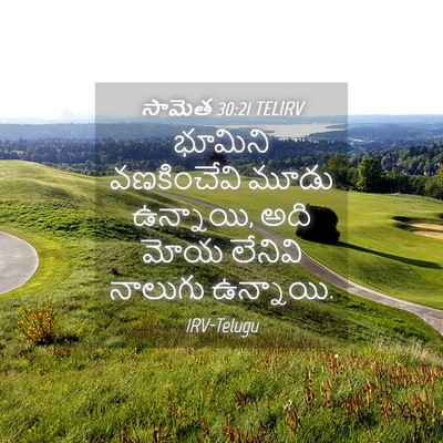 Picture 04 - సామెత 30:21 TELIRV - భూమిని వణకించేవి - Bible Verse Picture