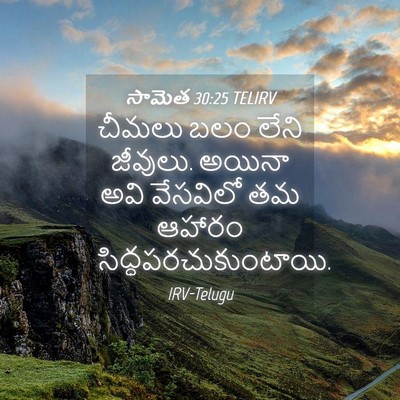 Picture 04 - సామెత 30:25 TELIRV - చీమలు బలం లేని - Bible Verse Picture