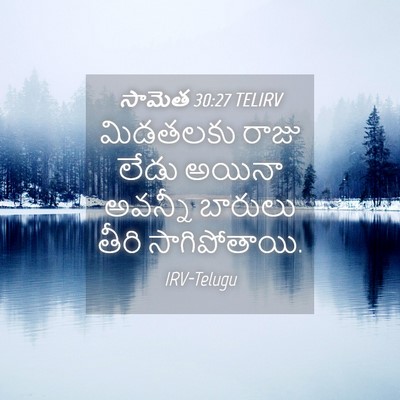 Picture 04 - సామెత 30:27 TELIRV - మిడతలకు రాజు లేడు - Bible Verse Picture