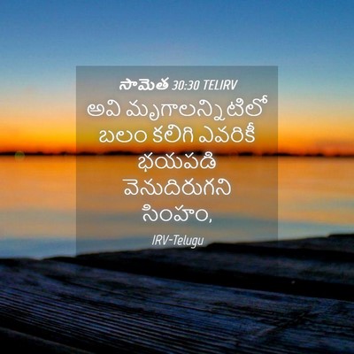 Picture 04 - సామెత 30:30 TELIRV - అవి మృగాలన్నిటిలో - Bible Verse Picture