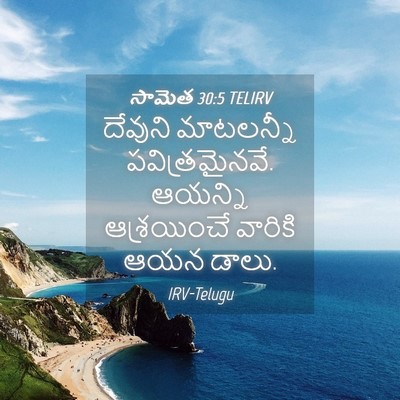Picture 04 - సామెత 30:5 TELIRV - దేవుని మాటలన్నీ - Bible Verse Picture