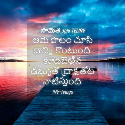 Picture 04 - సామెత 31:16 TELIRV - ఆమె పొలం చూసి - Bible Verse Picture
