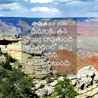 Picture 04 - సామెత 31:20 TELIRV - దీనులకు తన చెయ్యి - Bible Verse Picture