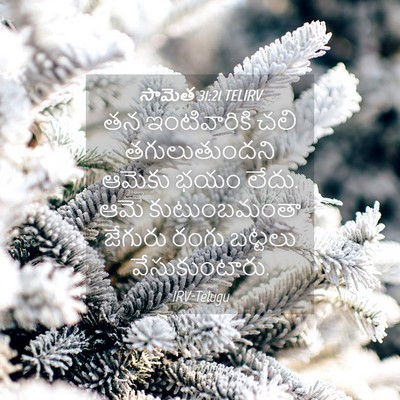 Picture 04 - సామెత 31:21 TELIRV - తన ఇంటివారికి చలి - Bible Verse Picture
