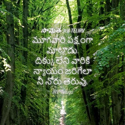 Picture 04 - సామెత 31:8 TELIRV - మూగవారి పక్షంగా - Bible Verse Picture