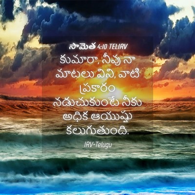 Picture 04 - సామెత 4:10 TELIRV - కుమారా, నీవు నా - Bible Verse Picture