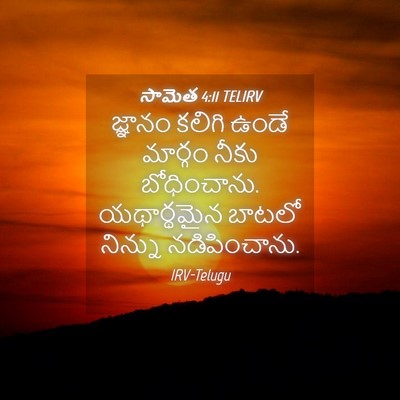 Picture 04 - సామెత 4:11 TELIRV - జ్ఞానం కలిగి ఉండే - Bible Verse Picture