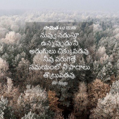 Picture 04 - సామెత 4:12 TELIRV - నువ్వు నడుస్తూ - Bible Verse Picture