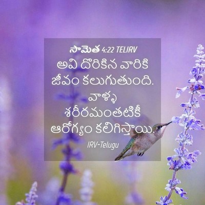 Picture 04 - సామెత 4:22 TELIRV - అవి దొరికిన - Bible Verse Picture
