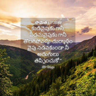 Picture 04 - సామెత 4:27 TELIRV - కుడివైపుకు గానీ, - Bible Verse Picture