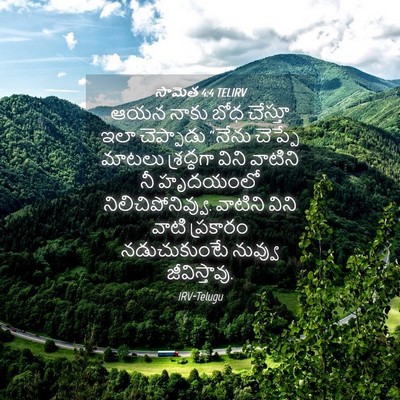 Picture 04 - సామెత 4:4 TELIRV - ఆయన నాకు బోధ - Bible Verse Picture