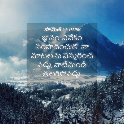 Picture 04 - సామెత 4:5 TELIRV - జ్ఞానం, వివేకం - Bible Verse Picture