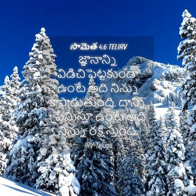 Picture 04 - సామెత 4:6 TELIRV - జ్ఞానాన్ని - Bible Verse Picture