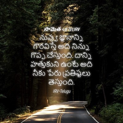 Picture 04 - సామెత 4:8 TELIRV - నువ్వు జ్ఞానాన్ని - Bible Verse Picture