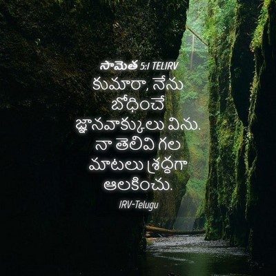 Picture 04 - సామెత 5:1 TELIRV - కుమారా, నేను - Bible Verse Picture