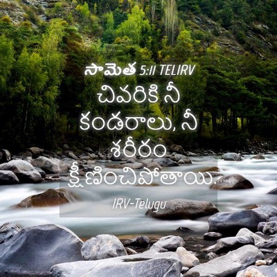 Picture 04 - సామెత 5:11 TELIRV - చివరికి నీ - Bible Verse Picture