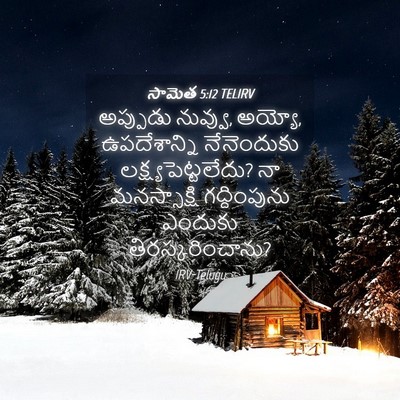 Picture 04 - సామెత 5:12 TELIRV - అప్పుడు నువ్వు, - Bible Verse Picture