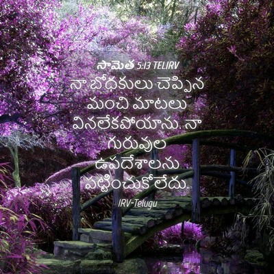 Picture 04 - సామెత 5:13 TELIRV - నా బోధకులు - Bible Verse Picture