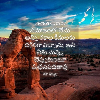 Picture 04 - సామెత 5:14 TELIRV - సమాజంలో నేను - Bible Verse Picture