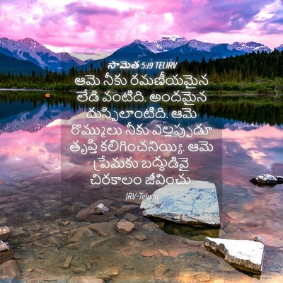 Picture 04 - సామెత 5:19 TELIRV - ఆమె నీకు రమణీయమైన - Bible Verse Picture