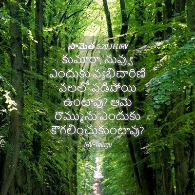 Picture 04 - సామెత 5:20 TELIRV - కుమారా, నువ్వు - Bible Verse Picture