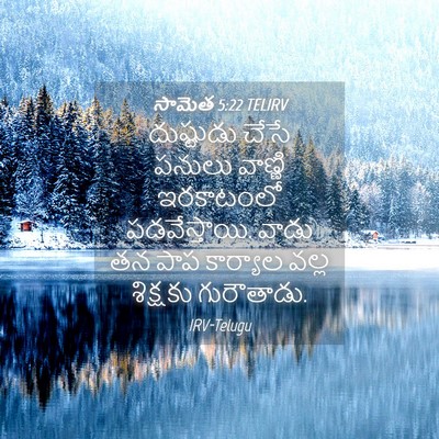 Picture 04 - సామెత 5:22 TELIRV - దుష్టుడు చేసే - Bible Verse Picture