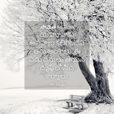Picture 04 - సామెత 6:16 TELIRV - యెహోవాకు అసహ్యం - Bible Verse Picture