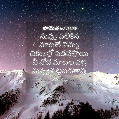 Picture 04 - సామెత 6:2 TELIRV - నువ్వు పలికిన - Bible Verse Picture