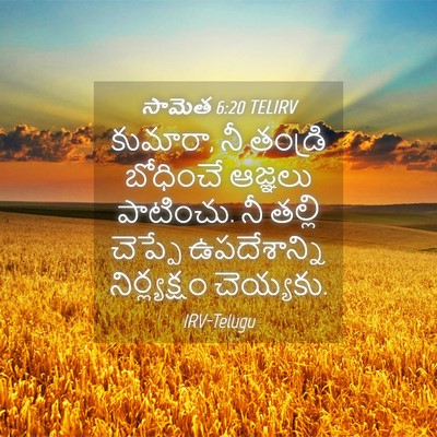 Picture 04 - సామెత 6:20 TELIRV - కుమారా, నీ తండ్రి - Bible Verse Picture