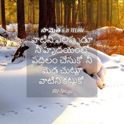 Picture 04 - సామెత 6:21 TELIRV - వాటిని ఎల్లప్పుడూ - Bible Verse Picture