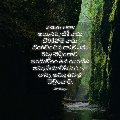 Picture 04 - సామెత 6:31 TELIRV - అయినప్పటికీ వాడు - Bible Verse Picture