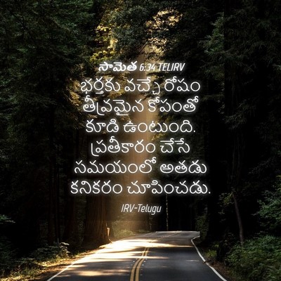Picture 04 - సామెత 6:34 TELIRV - భర్తకు వచ్చే రోషం - Bible Verse Picture