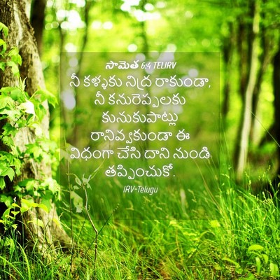 Picture 04 - సామెత 6:4 TELIRV - నీ కళ్ళకు నిద్ర - Bible Verse Picture
