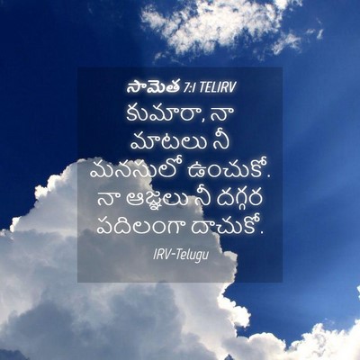 Picture 04 - సామెత 7:1 TELIRV - కుమారా, నా మాటలు నీ - Bible Verse Picture