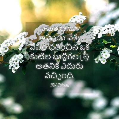Picture 04 - సామెత 7:10 TELIRV - అప్పుడు వేశ్య - Bible Verse Picture
