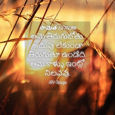 Picture 04 - సామెత 7:11 TELIRV - ఆమె తిరుగుబోతు. - Bible Verse Picture