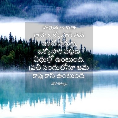 Picture 04 - సామెత 7:12 TELIRV - ఆమె ఒక్కోసారి తన - Bible Verse Picture