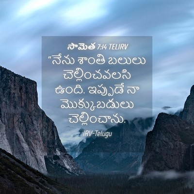 Picture 04 - సామెత 7:14 TELIRV - “నేను శాంతి బలులు - Bible Verse Picture