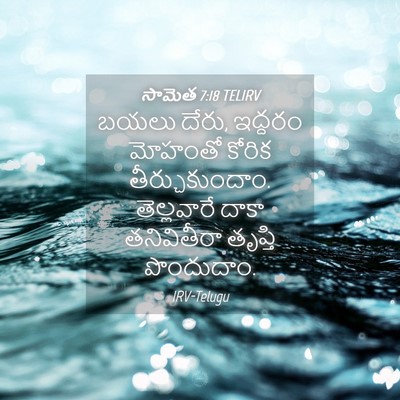 Picture 04 - సామెత 7:18 TELIRV - బయలు దేరు, ఇద్దరం - Bible Verse Picture