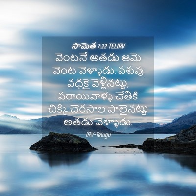 Picture 04 - సామెత 7:22 TELIRV - వెంటనే అతడు ఆమె - Bible Verse Picture