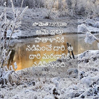 Picture 04 - సామెత 7:27 TELIRV - ఆమె ఇల్లు - Bible Verse Picture