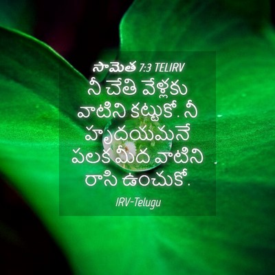 Picture 04 - సామెత 7:3 TELIRV - నీ చేతి వేళ్లకు - Bible Verse Picture