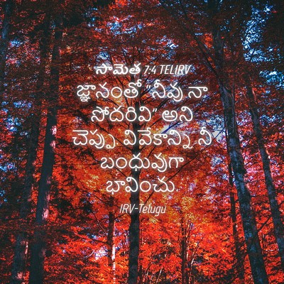 Picture 04 - సామెత 7:4 TELIRV - జ్ఞానంతో “నీవు నా - Bible Verse Picture