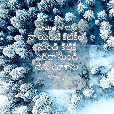 Picture 04 - సామెత 7:6 TELIRV - నా యింటి కిటికీలో - Bible Verse Picture