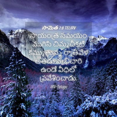 Picture 04 - సామెత 7:8 TELIRV - సాయంత్ర సమయం - Bible Verse Picture