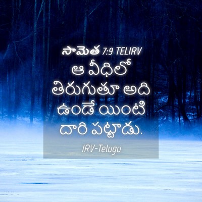 Picture 04 - సామెత 7:9 TELIRV - ఆ వీధిలో తిరుగుతూ - Bible Verse Picture