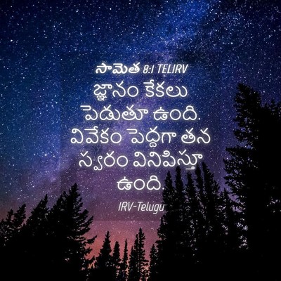 Picture 04 - సామెత 8:1 TELIRV - జ్ఞానం కేకలు - Bible Verse Picture