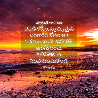 Picture 04 - సామెత 8:10 TELIRV - వెండి కోసం, - Bible Verse Picture