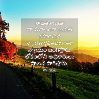 Picture 04 - సామెత 8:16 TELIRV - నా మూలంగా ఘనత - Bible Verse Picture